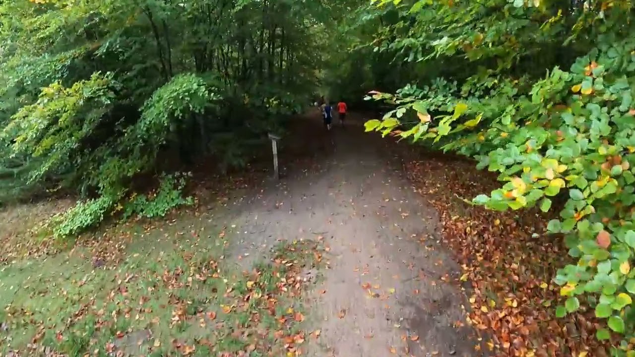 Brandon Country Park parkrun, #434 - October 22nd 2022 (full)
