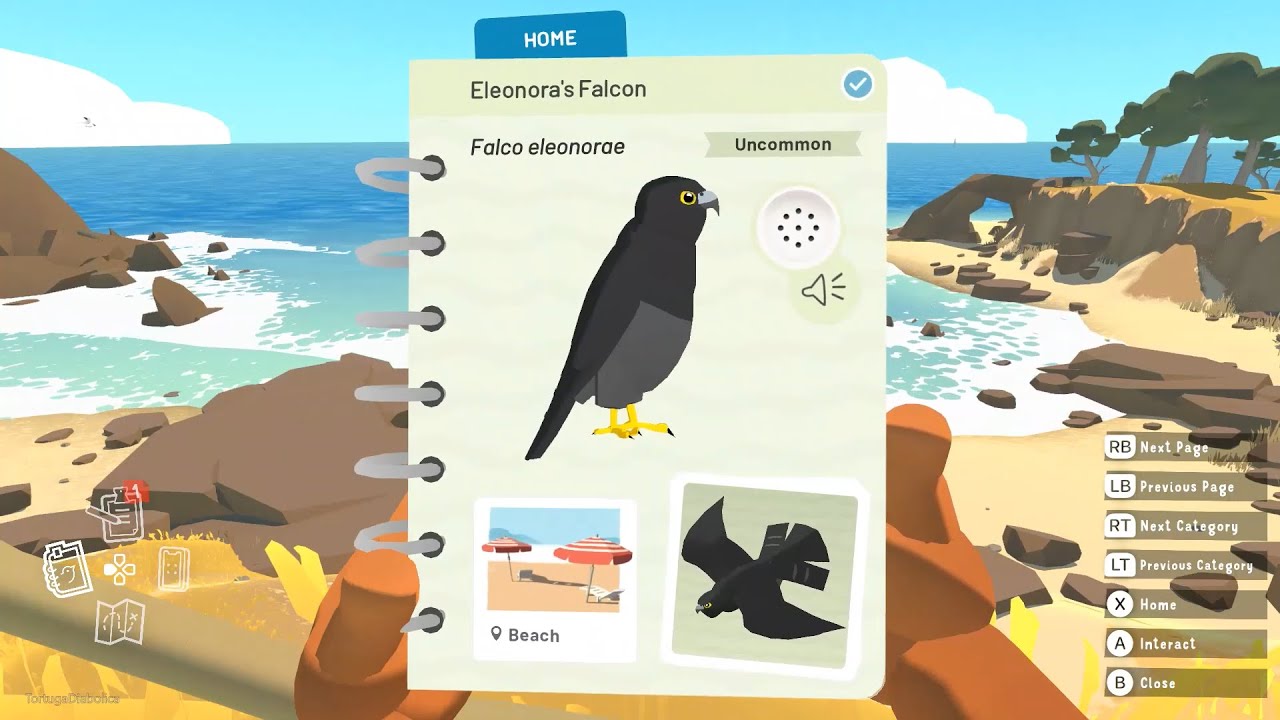 Searching for the European Shag - Alba: A Wildlife Adventure