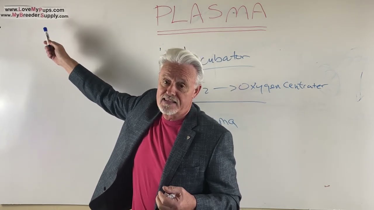 Save puppies with Plasma