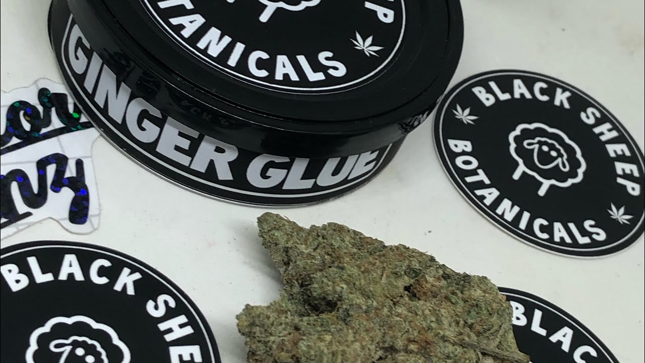 Ginger Glue strain review