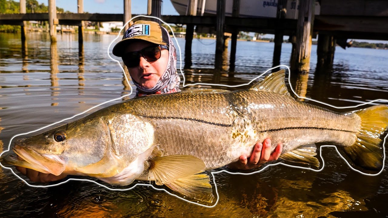 Sight Fishing 2 HUGE 40+ INCH SNOOK with Live Mullet