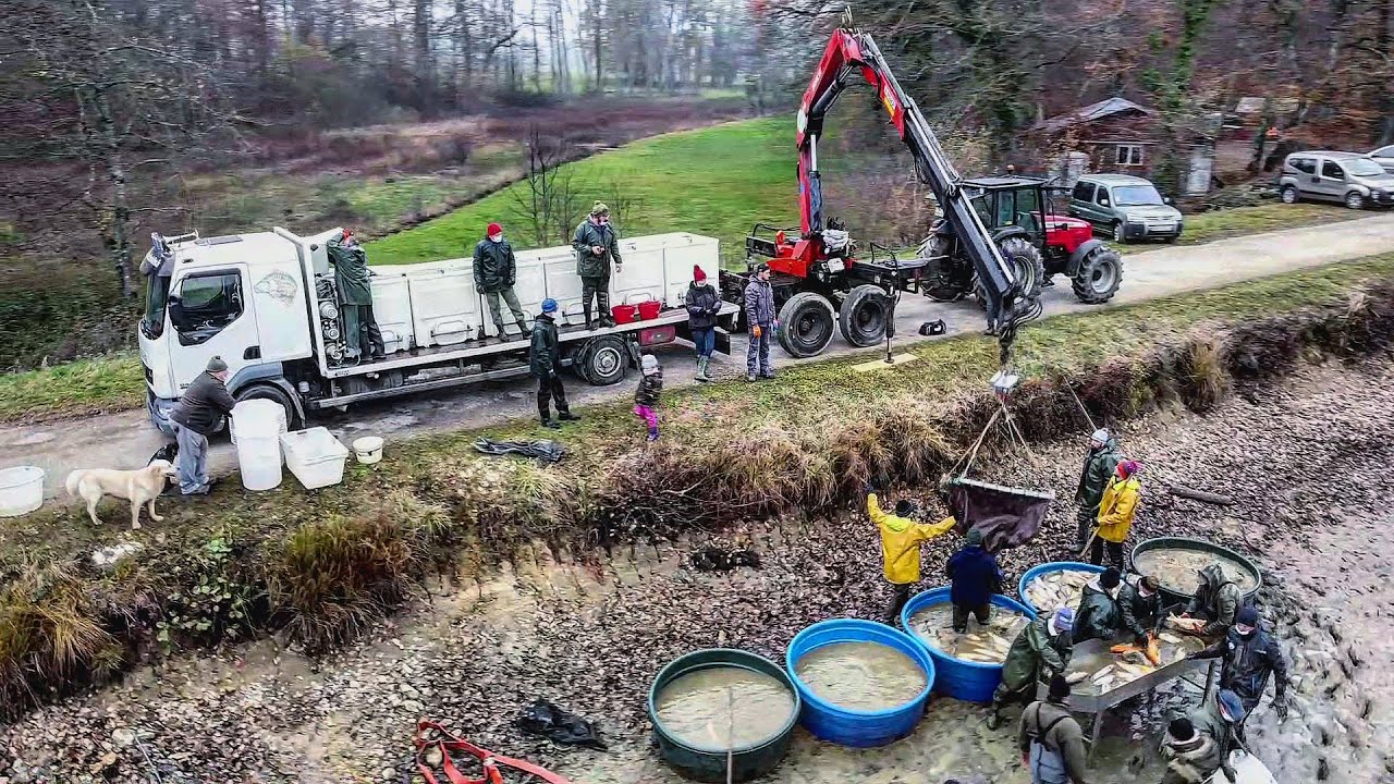 Vidange d'ETANG à la grue - Pisciculture KOHLER🐟