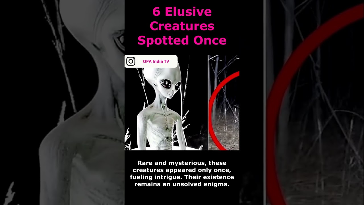 Enigmatic Creatures