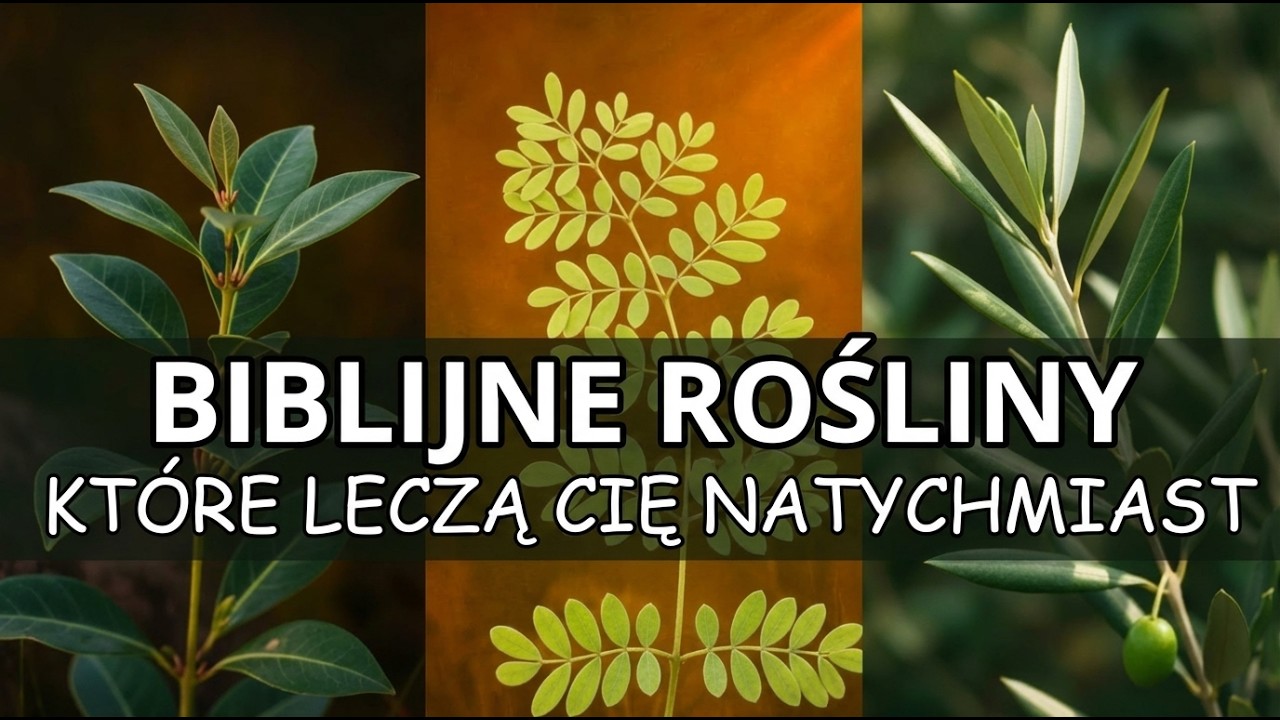 15 Biblijnych Roślin, Które Natychmiast Cię Uzdrowią