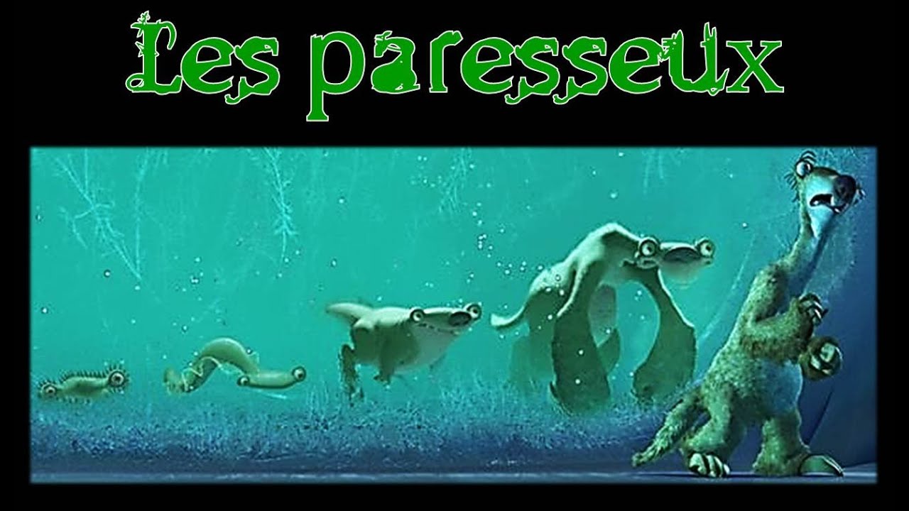 Les paresseux, origine et évolution