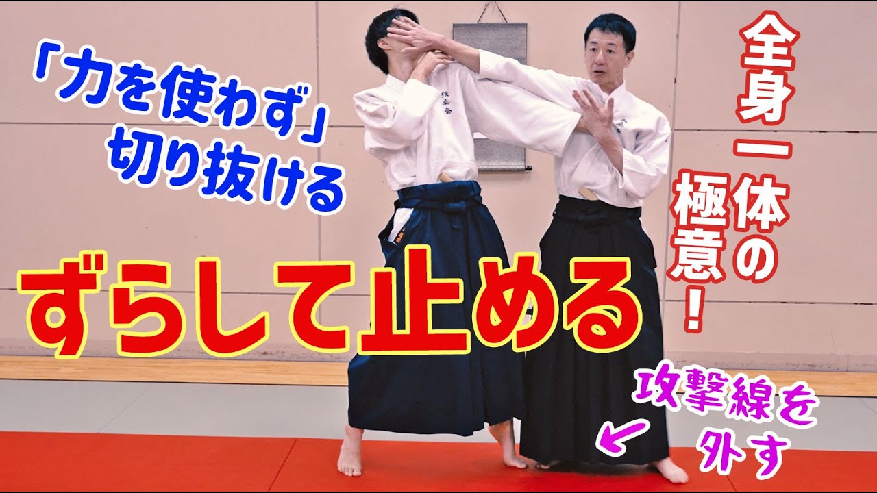 【全身一体の極意】力を使わずピンチを脱する古武術の捌き　  扶桑会535 ずらして止める 大東流合氣柔術