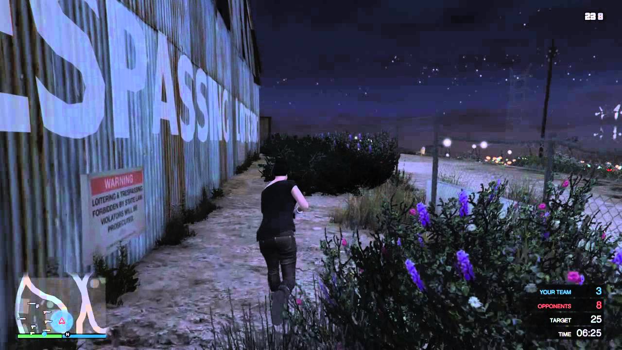 GTA: V - Infinite Health Hack