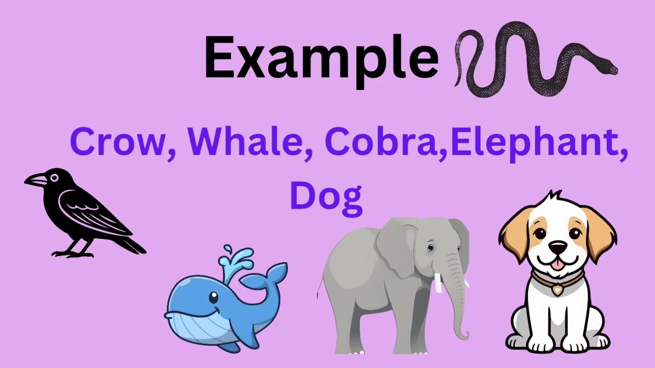 IGCSE Biology: Dichotomous Key Simplified with Examples 