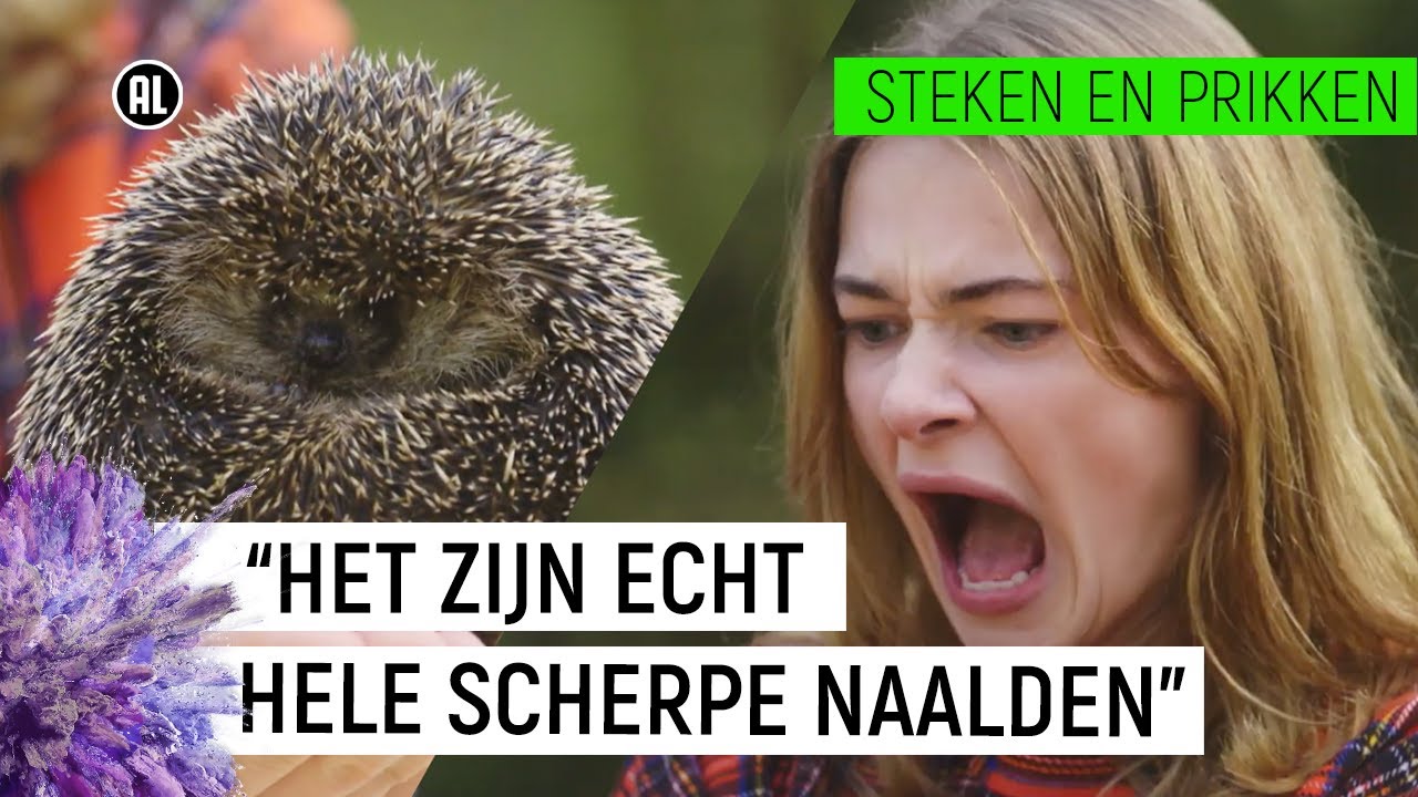 EMMA WORDT GEPRIKT DOOR EEN EGEL! | Steken en Prikken #2 | NPO Zapp