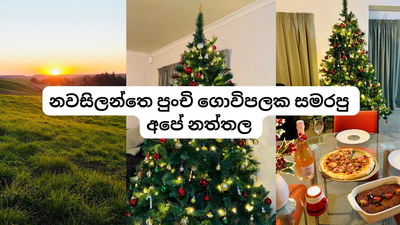 New Zealand farm house එකේ අපේ පුංචි Christmas celebration එක | Sinhala Vlog 🎄🧑‍🎄☃️