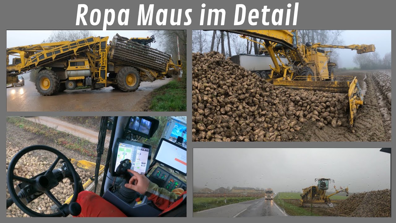 Ropa Maus hautnah