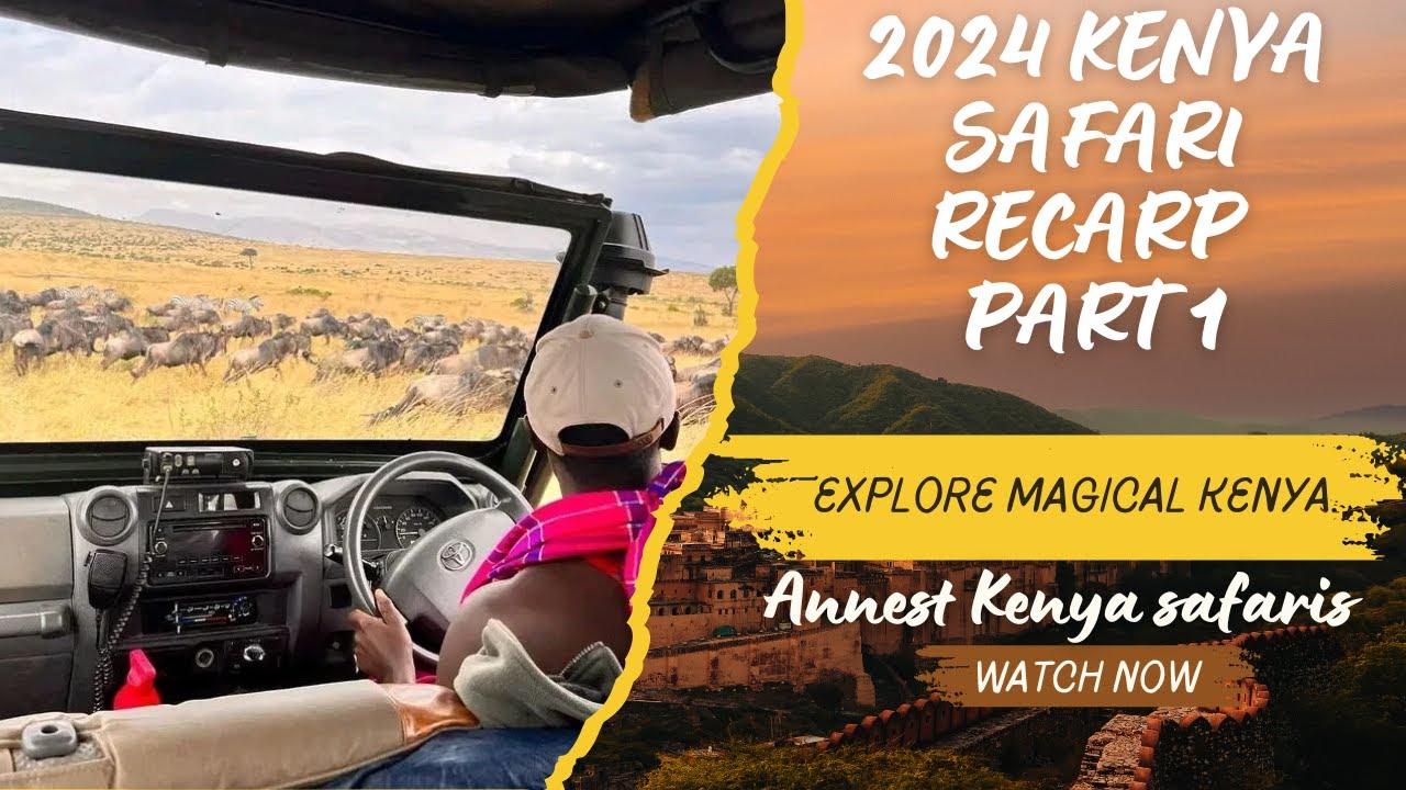 2024 Safari Recap Part 1: Thrilling Safari Highlights