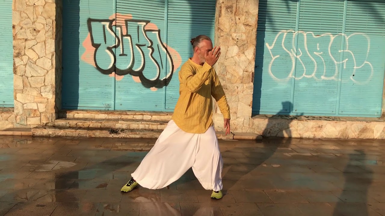 Wudang zhang sanfeng taiji 36