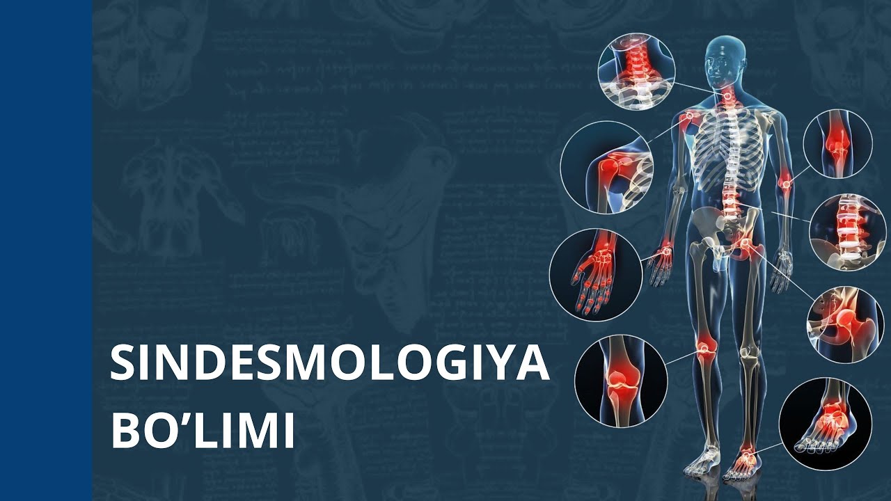 SINDESMOLOGIYAGA KIRISH