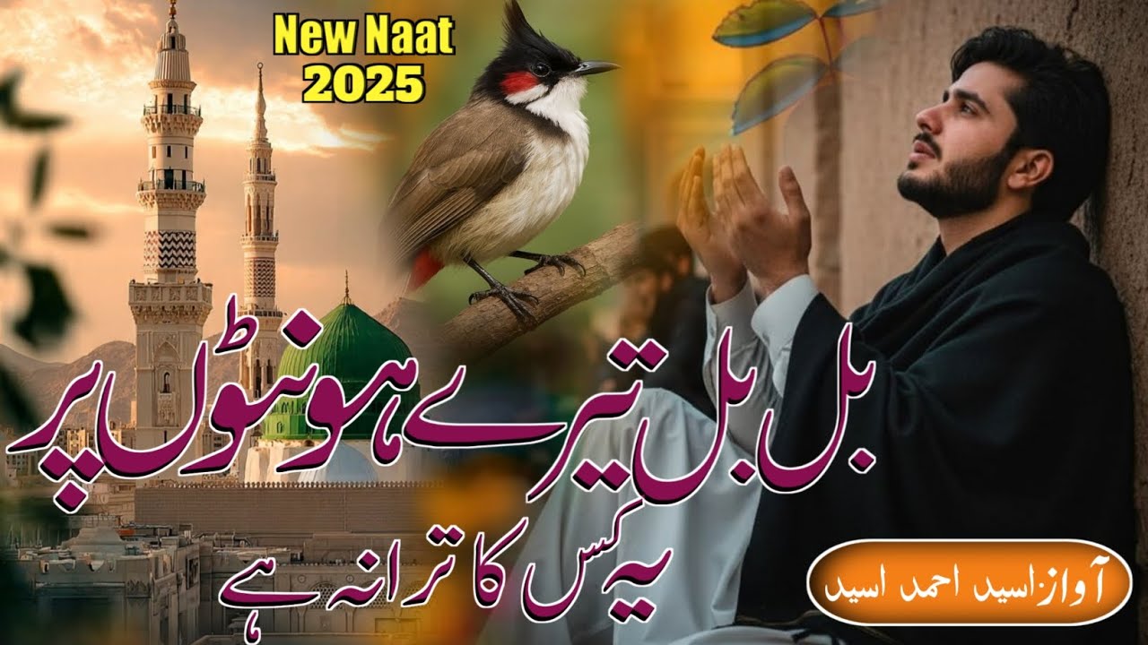 Bulbul Tere Hontu Par Ye Kiska Tarana Hai||New Naat Shareef 2025|| Naat By Osaid Ahmad Osaid