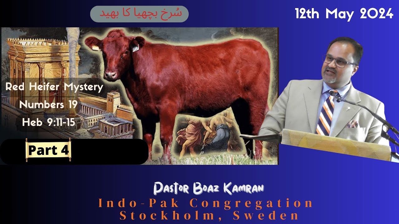 Pastor Boaz Kamran- Red Heifer Mystery- Part4- 12Maj2024