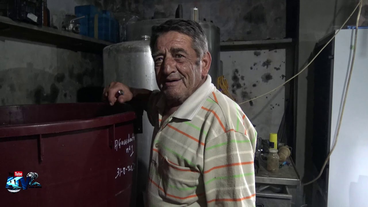 Visitar a Adega Srº Hermano Teves Fazer Vinho Doce