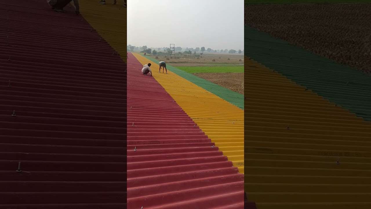 Poltryi farm Everest Supercolour