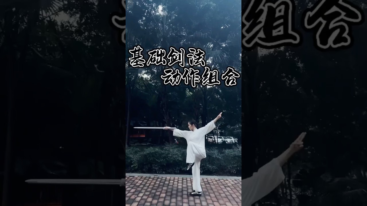 峨嵋派剑法入门：领略中国武术的精髓！#武术 #剑法 #kungfu