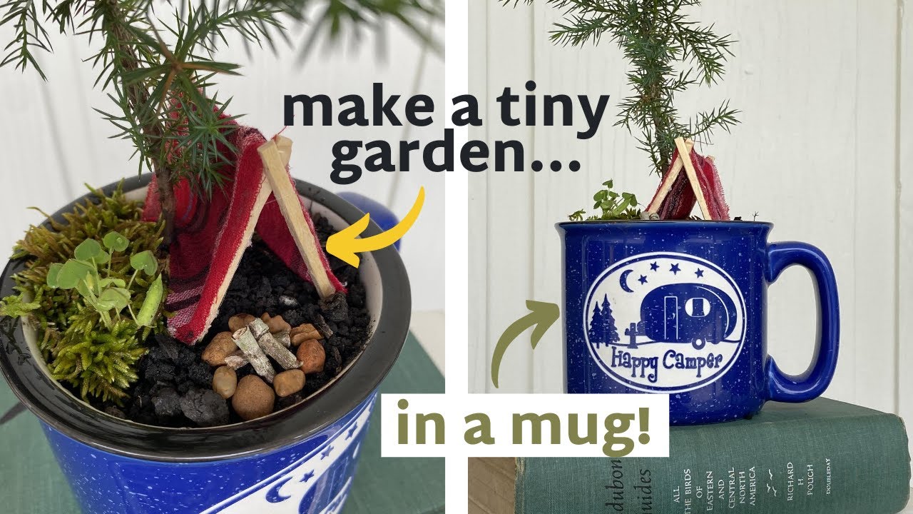 DIY Mini Garden...In A Mug?!