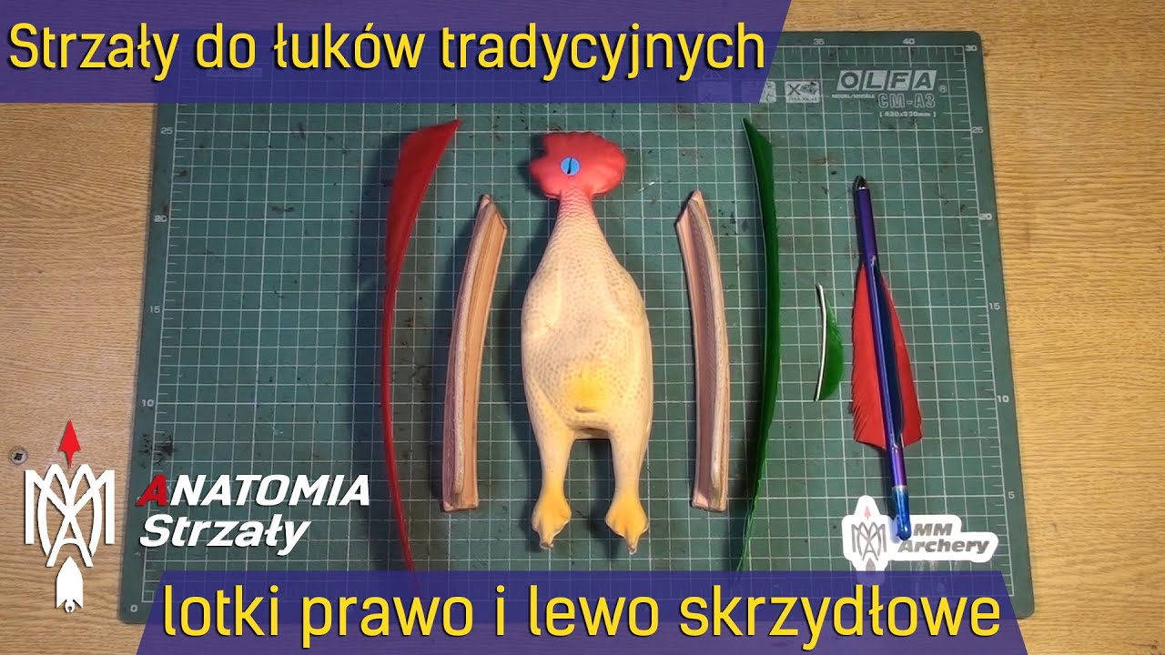 Strzały do łuków tradycyjnych - lotki prawe i lewe, część #6