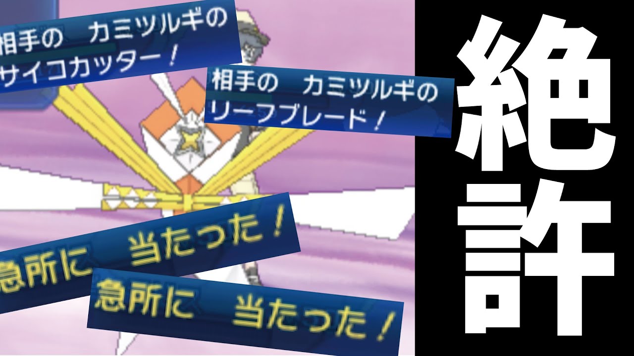 急所でボッコボコにされた　むかつく【ポケモンUSUM】