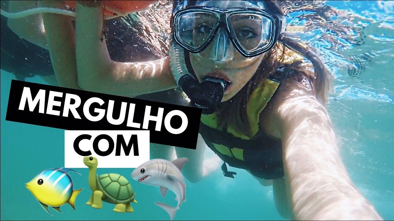 FERNANDO DE NORONHA #5 Mergulhando com TUBARÕES e TARTARUGAS!