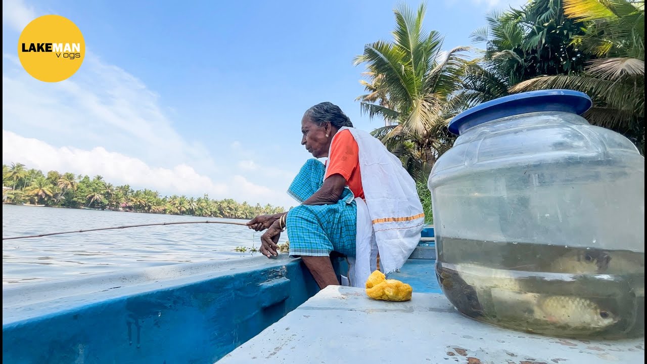 ഇവിടെ ചൂണ്ടയിട്ടാൽ കരിമീൻ കിട്ടും  Fishing  I Kuttanadu Village Fishing I Village Fishing  #fishing