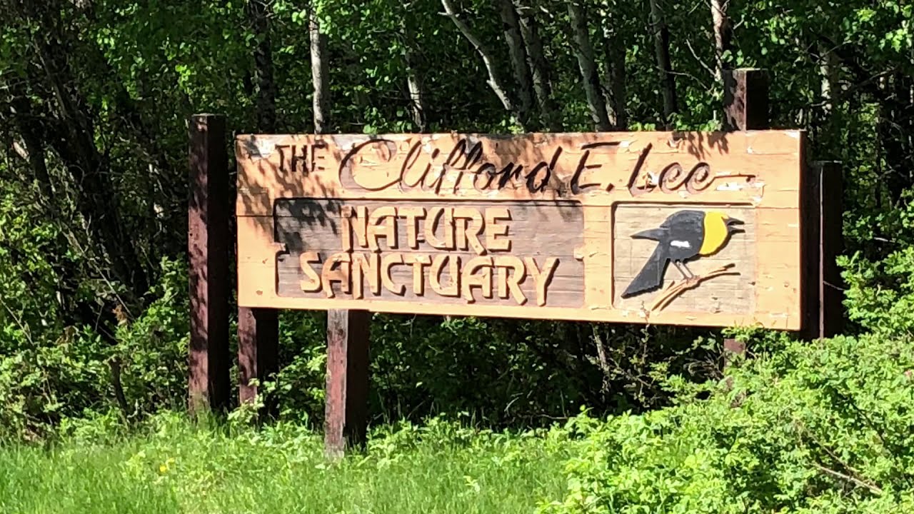 Clifford E. Lee Nature Sanctuary | Tản bộ khu bảo tồn thi&ecirc;n nhi&ecirc;n thuộc hệ sinh th&aacute;i rừng ngập nước