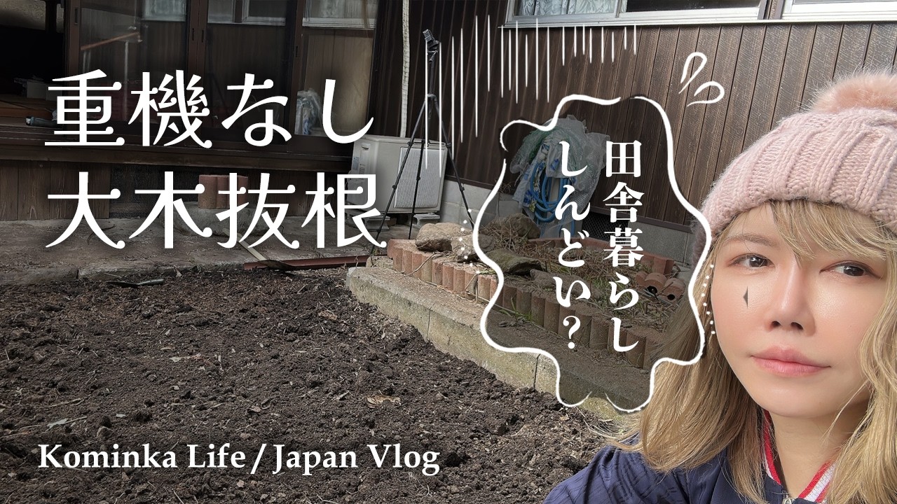 【古民家田舎暮らし】田舎暮らしは辛い！？荒れた中庭を整地する！松の木抜根 #5