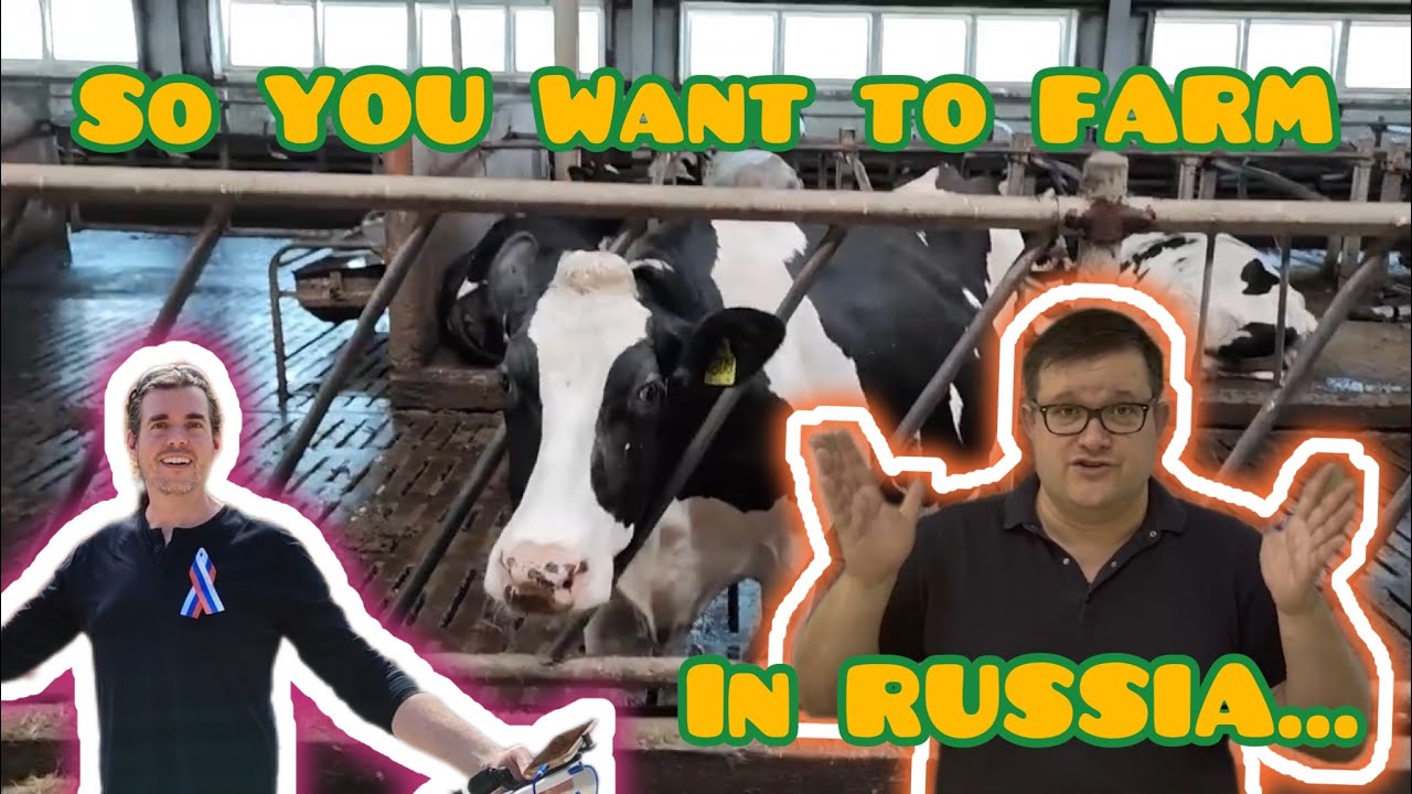 Buying AGRI land in RUSSIA. Our trip to KALUGA region