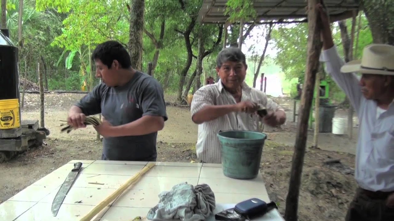 3. Aprender haciendo en el trapiche.