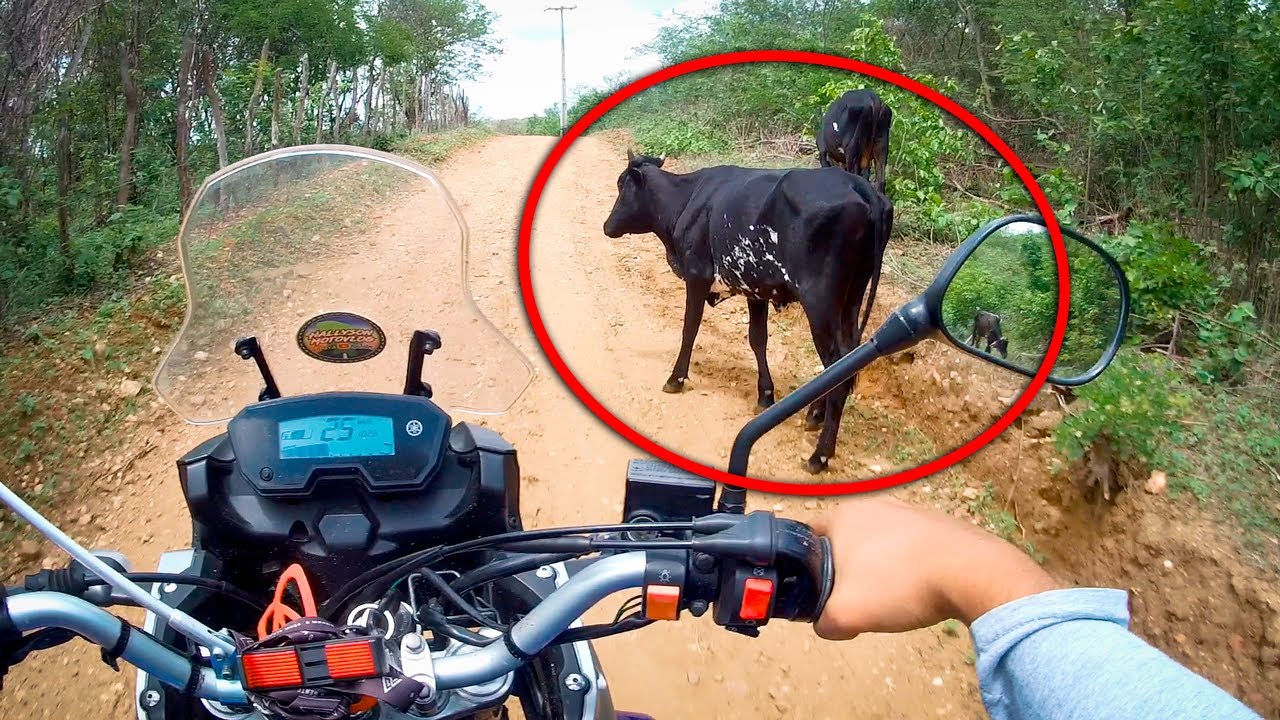 VIAGEM DE MOTO PELO SERTÃO