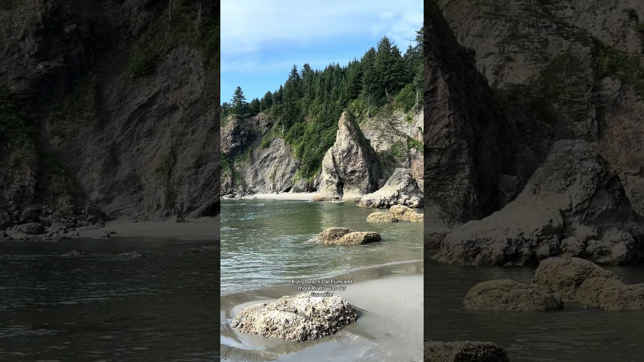 Everything You Need to Know to Visit Olympic National Park #travel #nationalpark #olympic