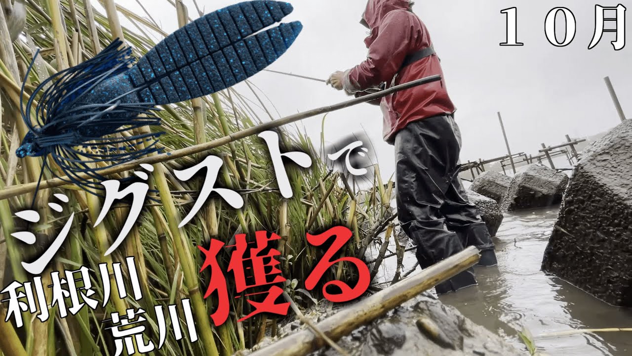 【利根川】水温低下を切り抜けるジグスト作戦【荒川】2021.10月中旬