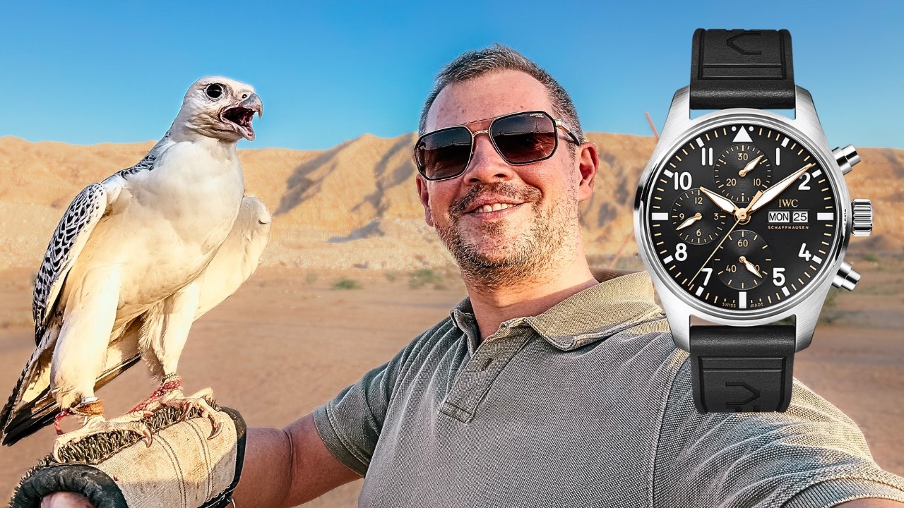 Мои новые пилоты IWC и соколиная охота.