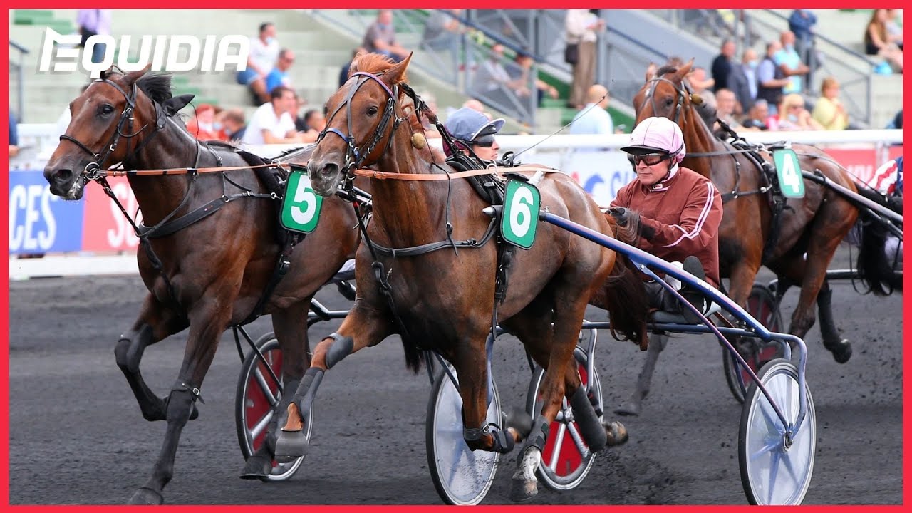 PRIX GUY DELOISON I Idylle Speed I Vincennes I Groupe 2