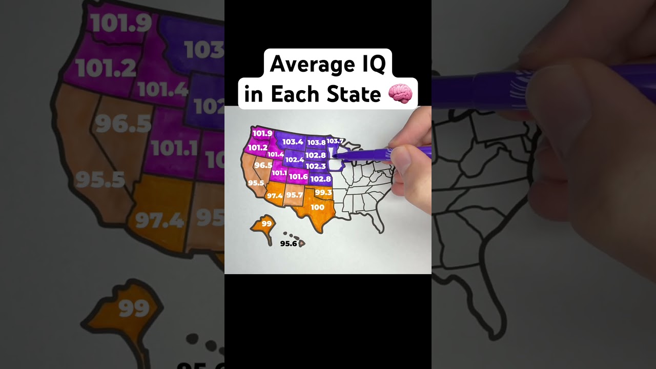 Average IQ in Each State#usa #unitedstates #map #geography #states #america #mapper #iq #iqtest #fyp