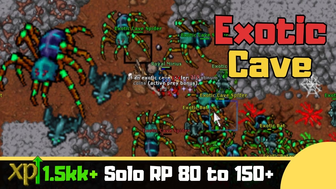RP 80–150+ Экзотическая пещера [Tibia Solo Paladin]