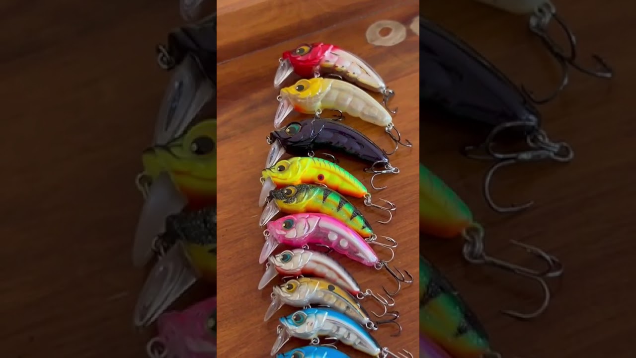 STRIKE PRO HUNCHBACK LURE COLLECTION #strikepro #THEHUNCHBACK