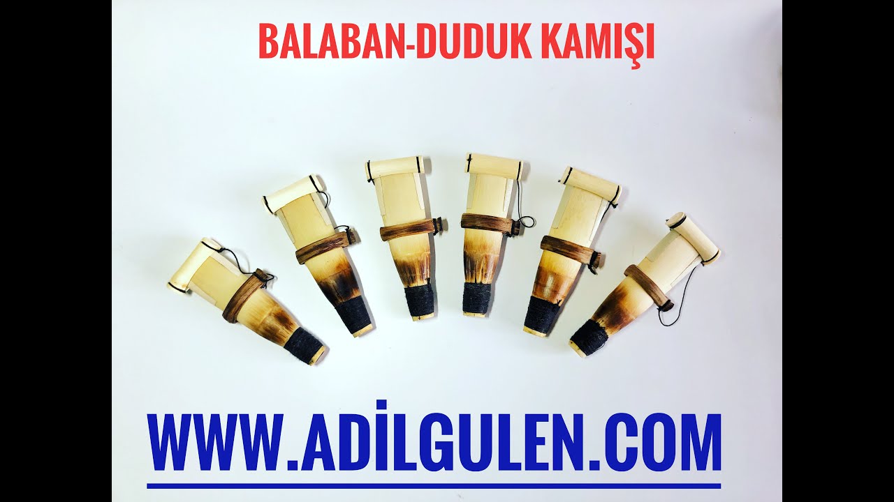 BALABAN - DUDUK KAMIŞI BAKIM VE TAMİRİ - ADİL GÜLEN