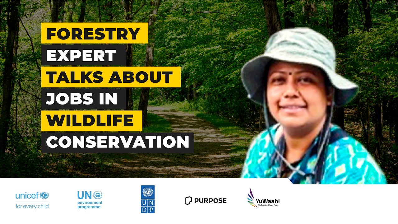 Building a Green Economy - Careers in Forestry with Dr. Sonali Ghosh