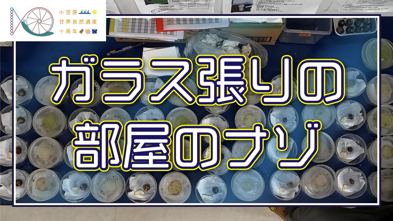ガラス張りの部屋のナゾ