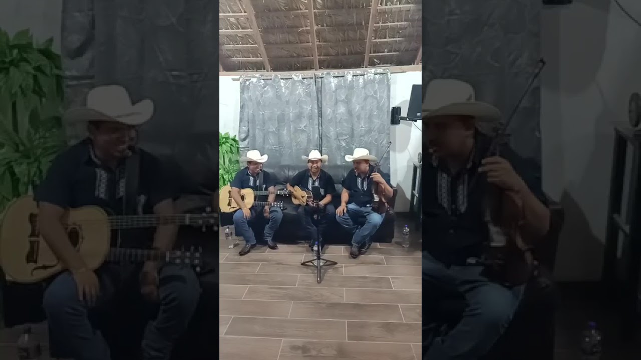 Gallitos del Bernal transmisión en vivo