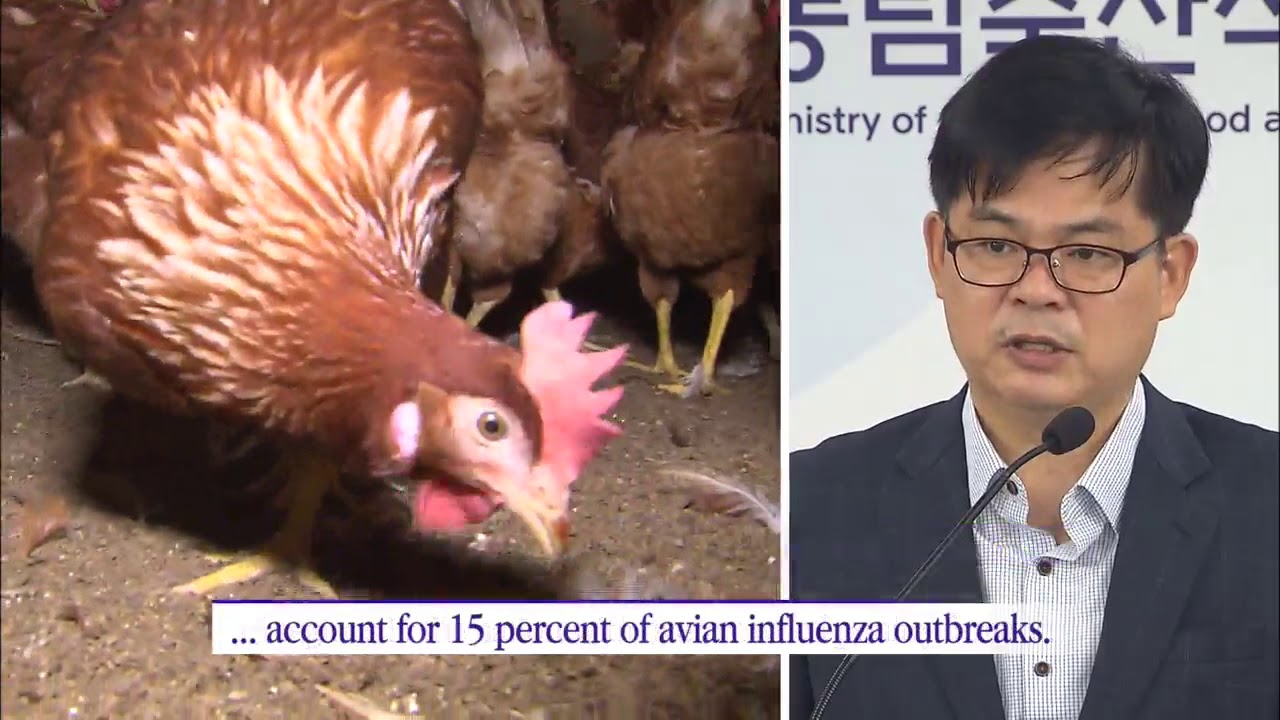Poultry Farm Safety