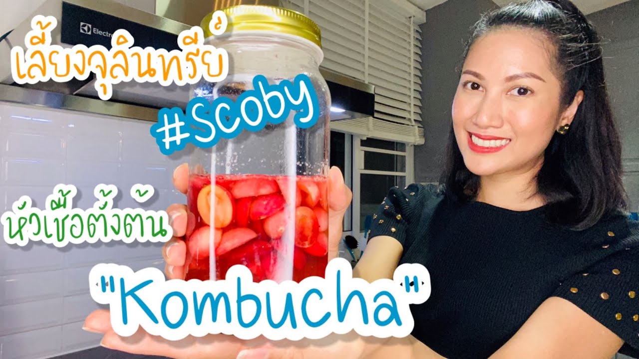 คอมบูชา/ชาหมัก/Ep.1 วิธีหมักน้ำตั้งต้นและสโคบี้จากมะม่วงหาวมะนาวโห่