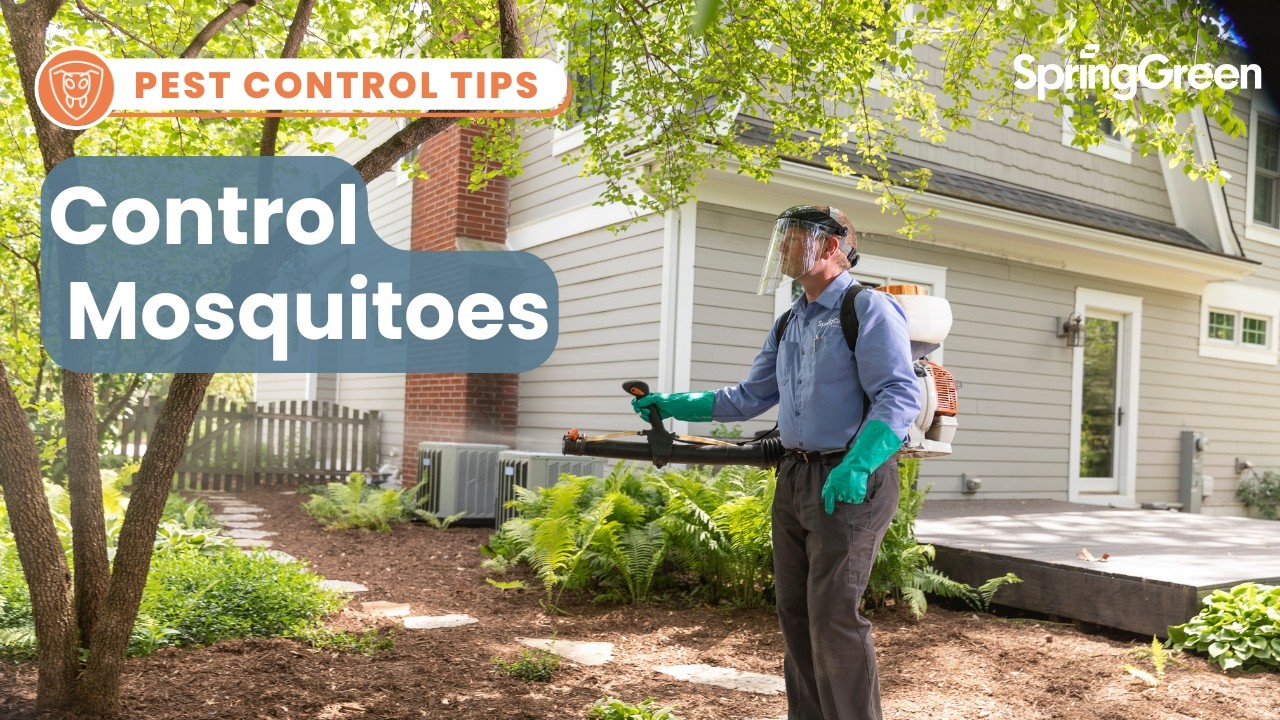 Mosquito Control for Lawns & Yards | Stop Mosquitoes Fast!