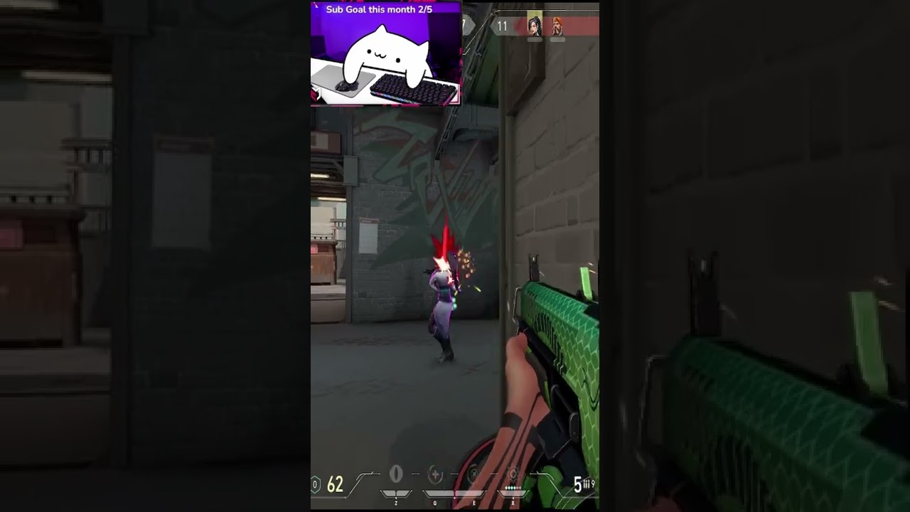 Rat plays work 