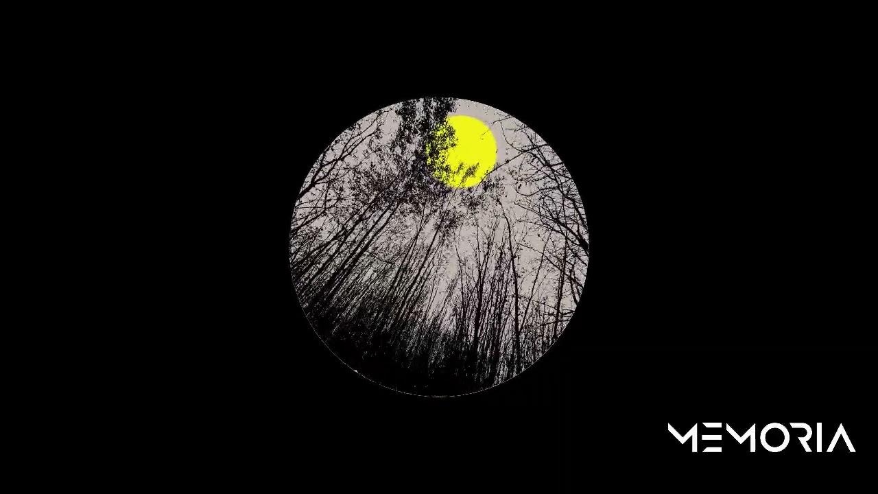 Mod21 & Toki Fuko - ST03 | IAL006 | Memoria