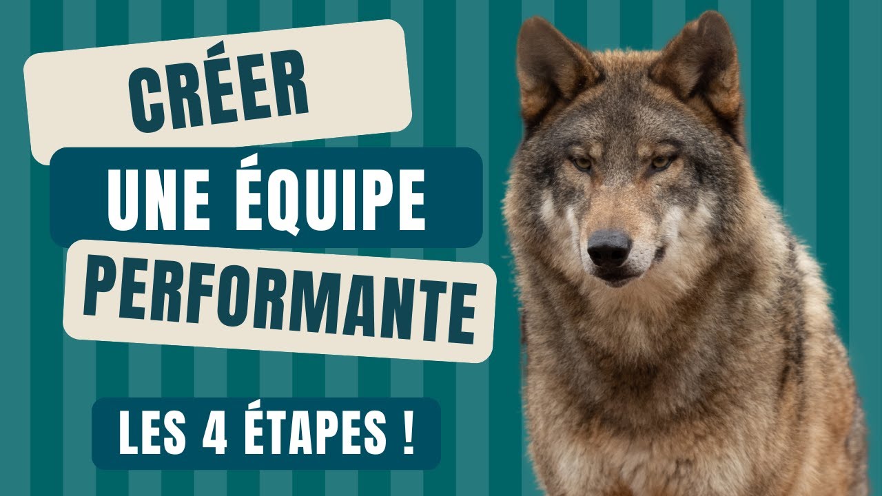 Les 4 étapes pour créer une équipe performante grâce au leadership !